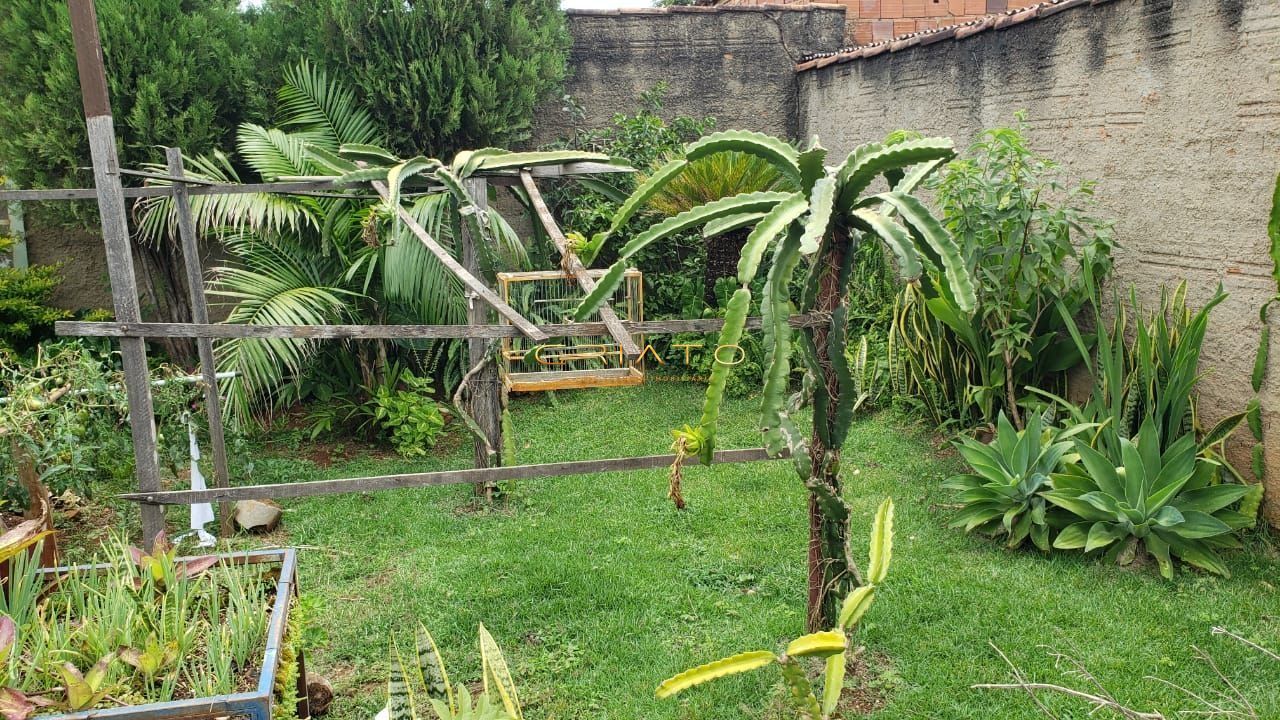img36138015