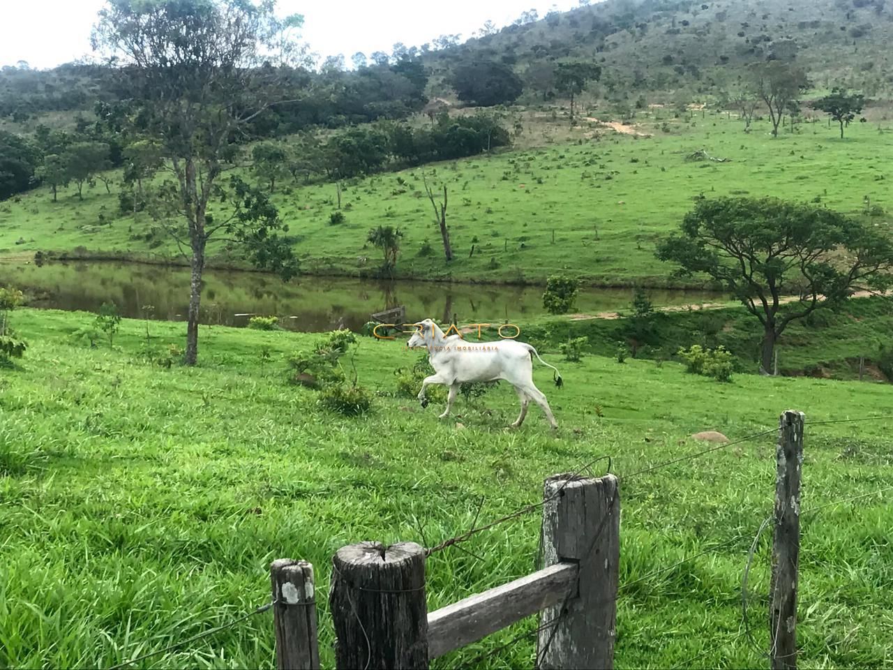 Fazenda/Sítios/Chácaras de no bairro Zona Rural, em Cocalzinho de Goiás | Eu Corretor