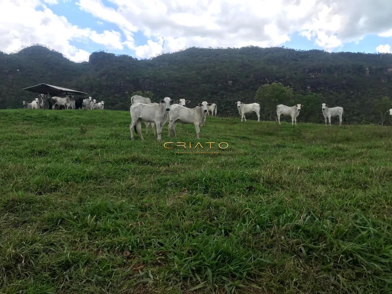 Fazenda/Sítios/Chácaras de no bairro Zona Rural, em Cocalzinho de Goiás | Eu Corretor