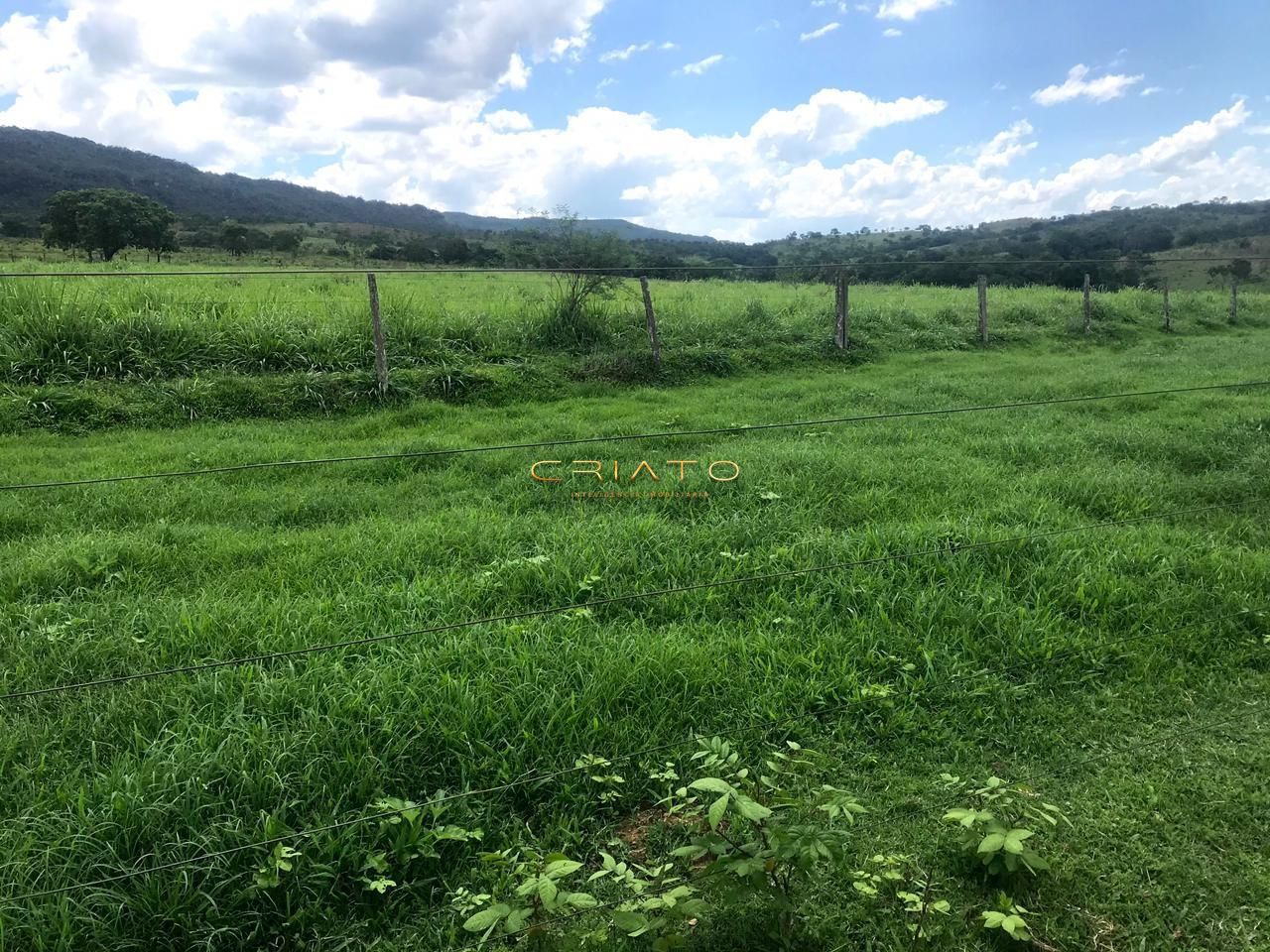 Fazenda/Sítios/Chácaras de no bairro Zona Rural, em Cocalzinho de Goiás | Eu Corretor