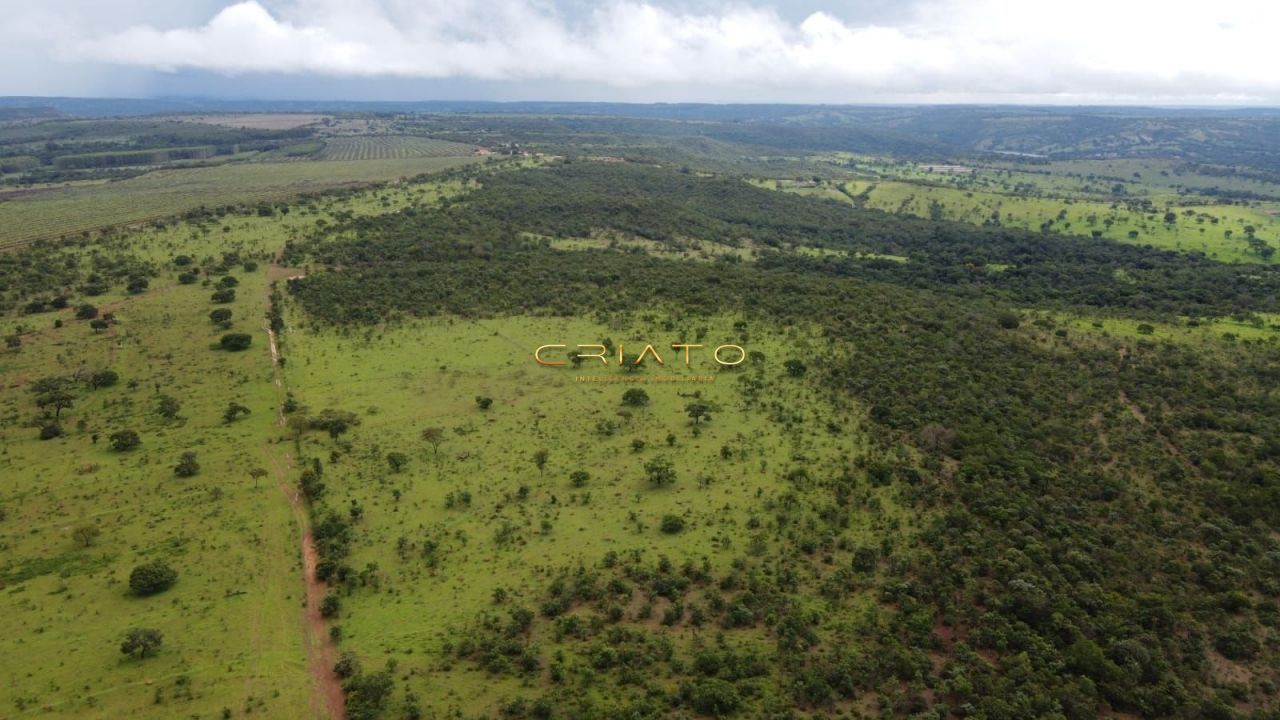 Fazenda-Sítio-Chácara, 3630000 hectares - Foto 2