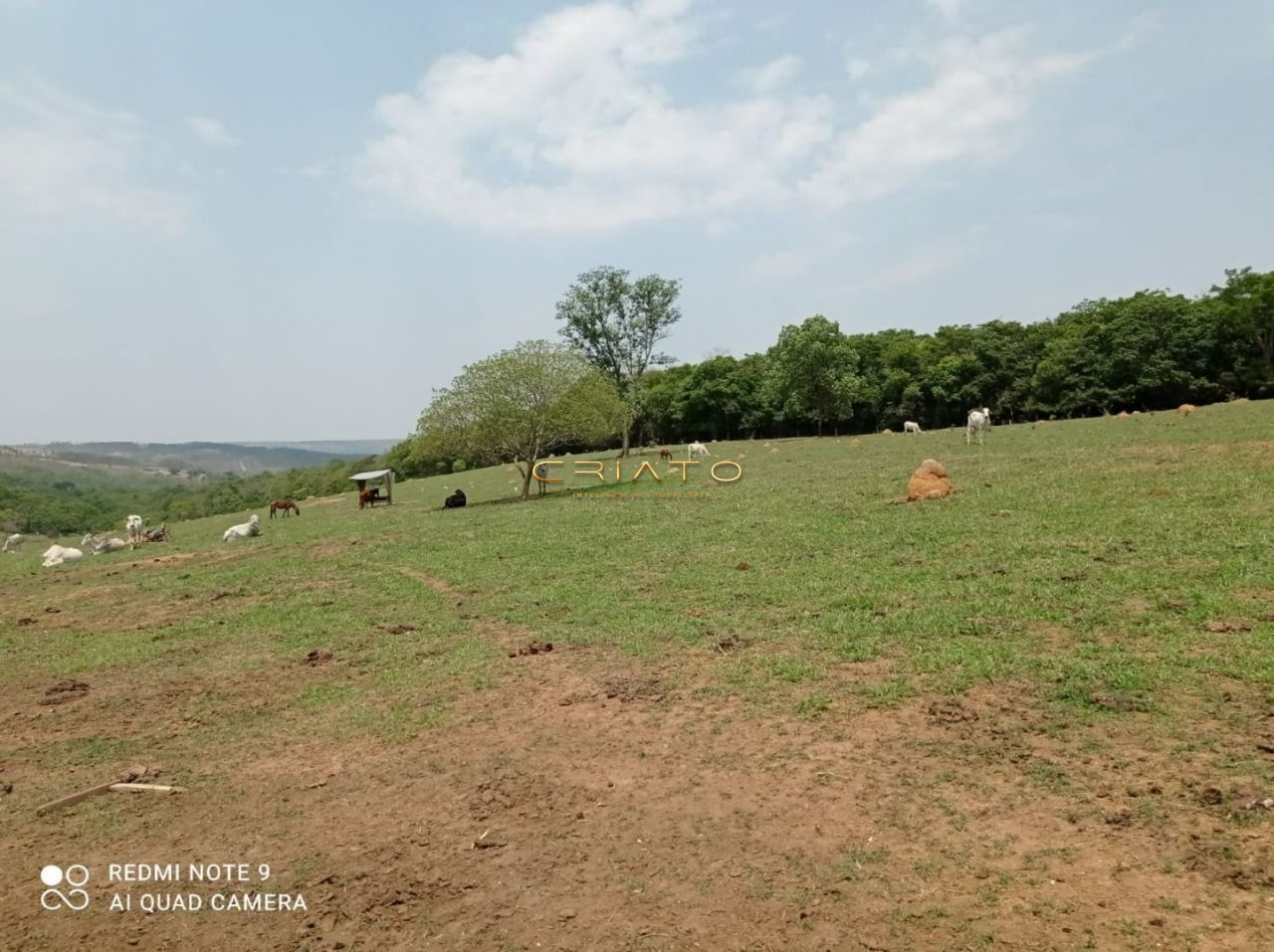 Fazenda/Sítios/Chácaras de no bairro Zona Rural, em Alexânia | Eu Corretor