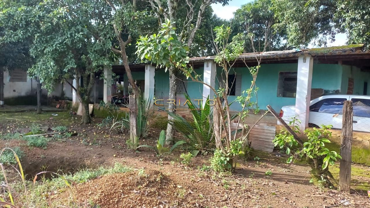 img36138665