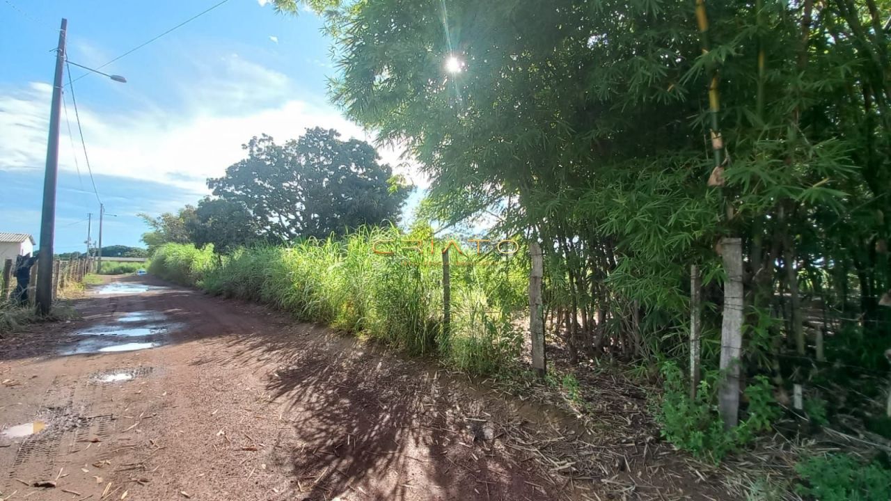 img36138663