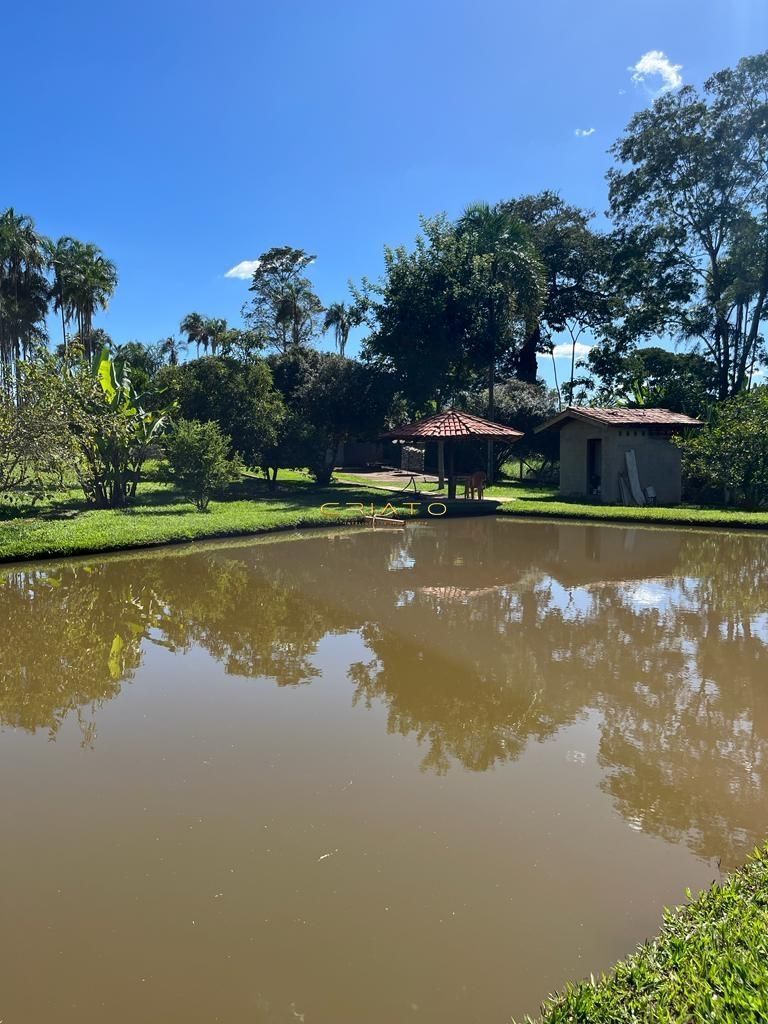 Fazenda à venda com 4 quartos, 6000m² - Foto 7