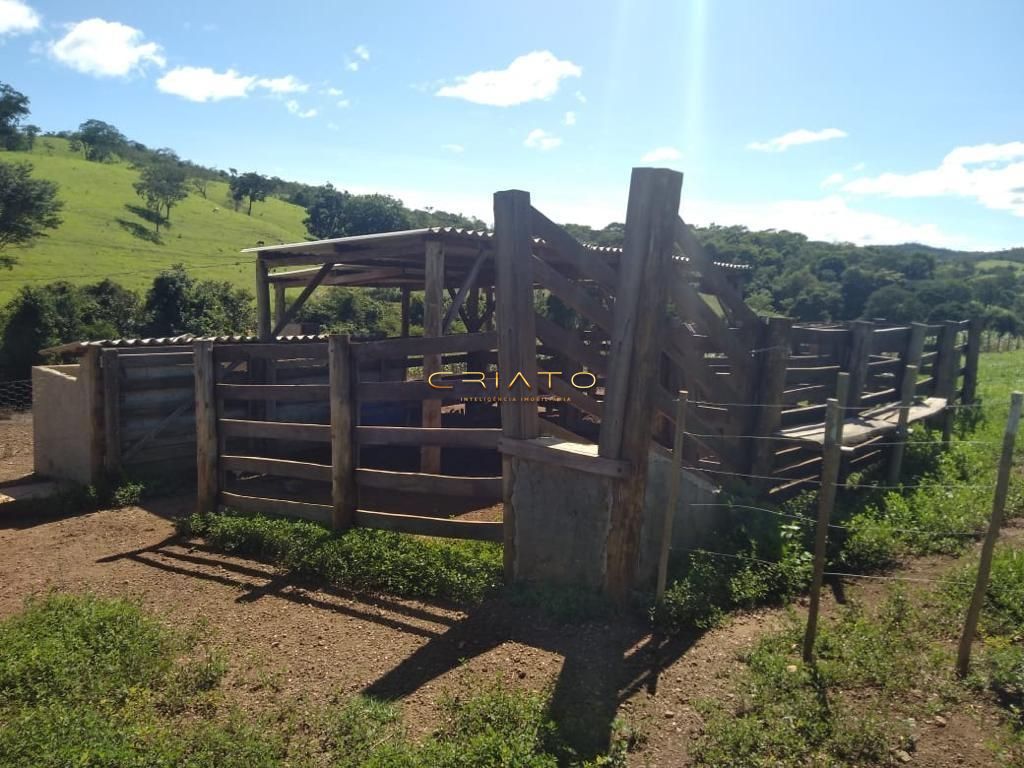 Fazenda-Sítio-Chácara, 121000 hectares - Foto 4