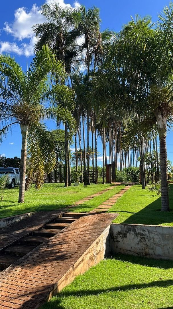 Fazenda à venda com 4 quartos, 6000m² - Foto 5