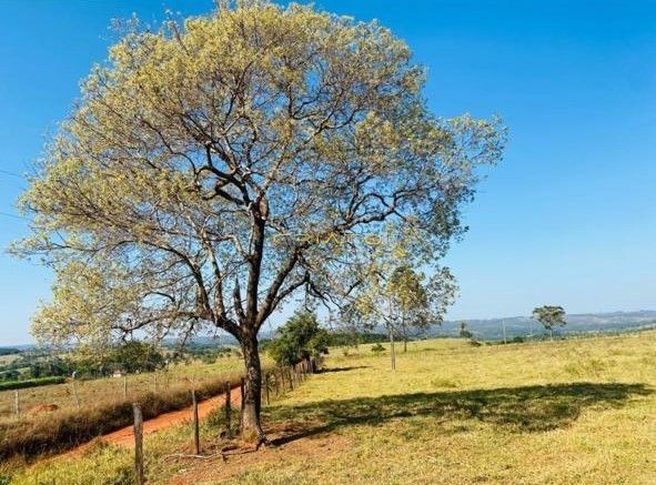Fazenda/Sítios/Chácaras de no bairro Zona Rural, em Abadiânia | Eu Corretor