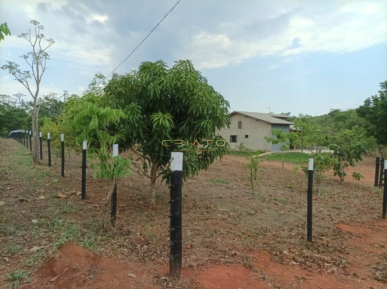 Fazenda à venda com 2 quartos, 150m² - Foto 7