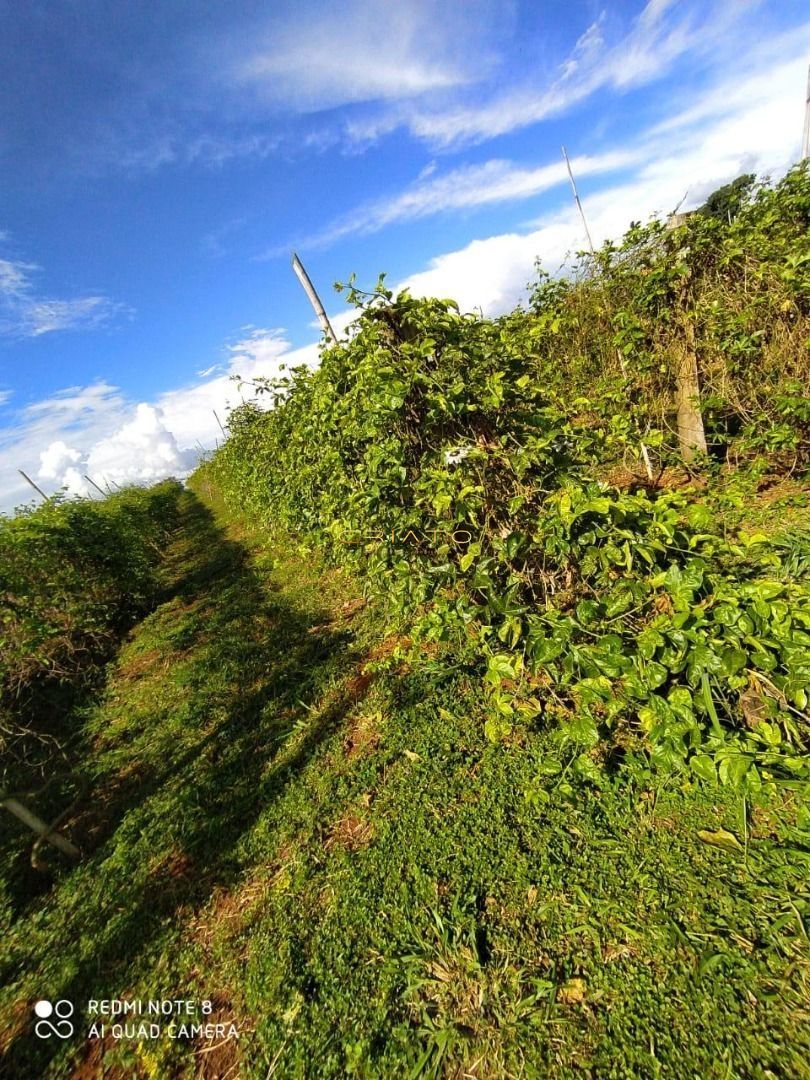 Chácara de 2 quartos, no bairro Zona Rural, em Terezópolis de Goiás | Eu Corretor