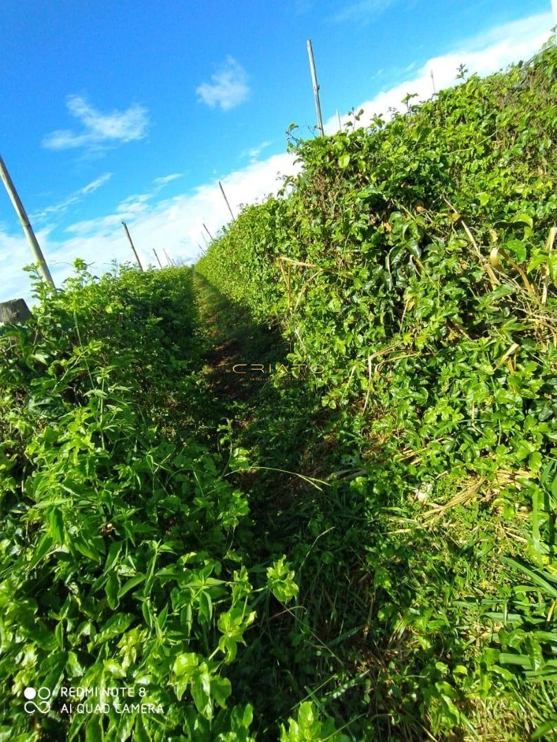 Chácara de 2 quartos, no bairro Zona Rural, em Terezópolis de Goiás | Eu Corretor