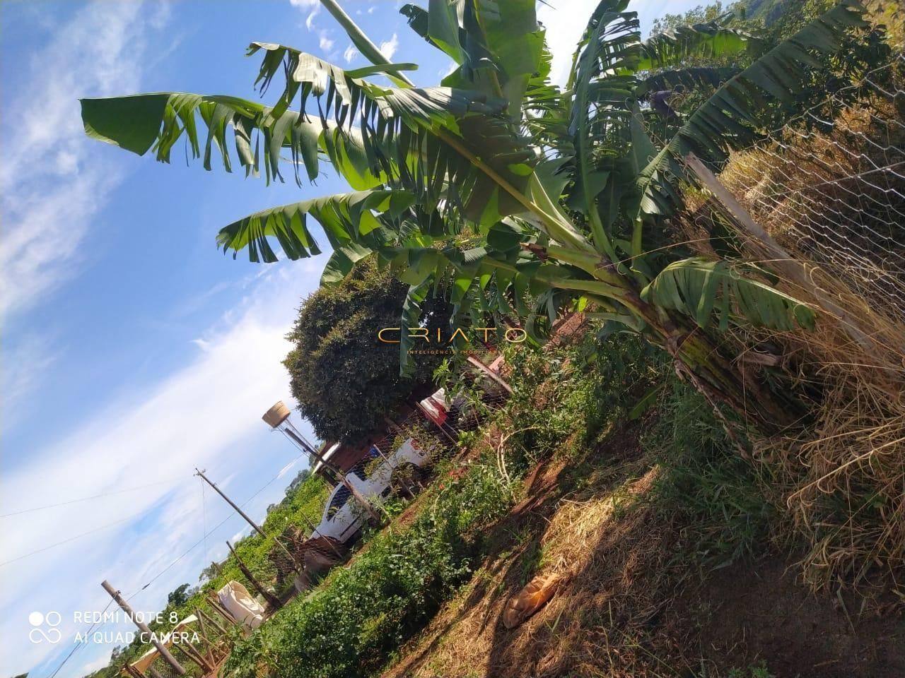 Chácara de 2 quartos, no bairro Zona Rural, em Terezópolis de Goiás | Eu Corretor