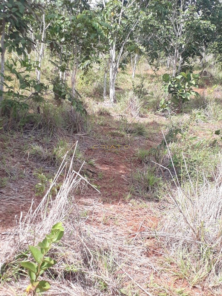 Fazenda/Sítios/Chácaras de 2 quartos, no bairro Nenhum, em Pedra Preta | Eu Corretor