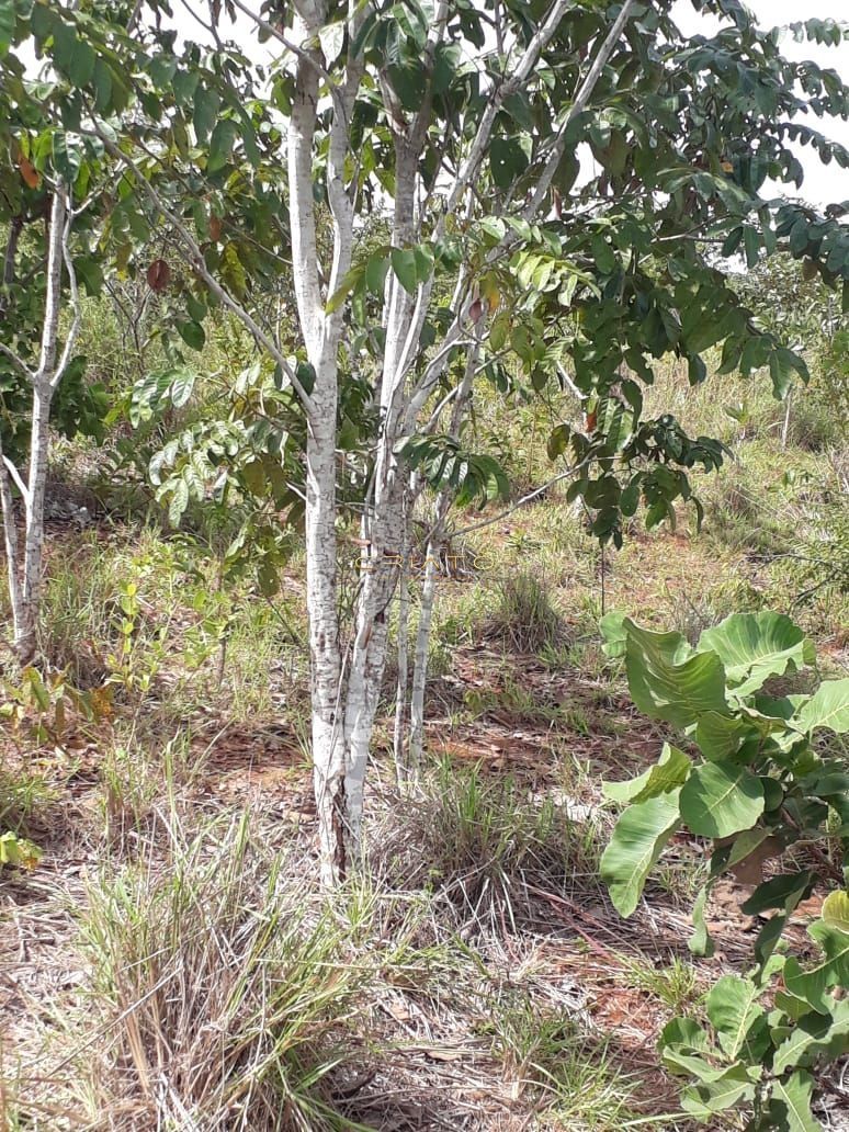 Fazenda/Sítios/Chácaras de 3 quartos, no bairro Zona Rural, em Cuiabá | Eu Corretor