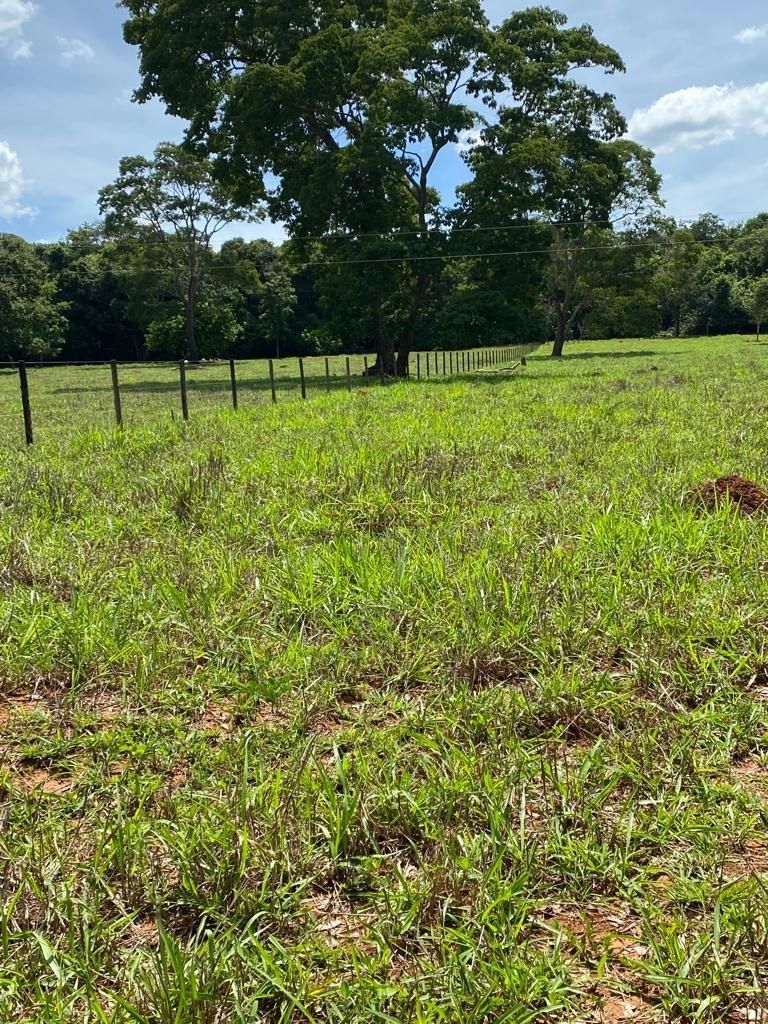 Chácara de 1 quarto, no bairro Zona Rural, em Pirenópolis | Eu Corretor