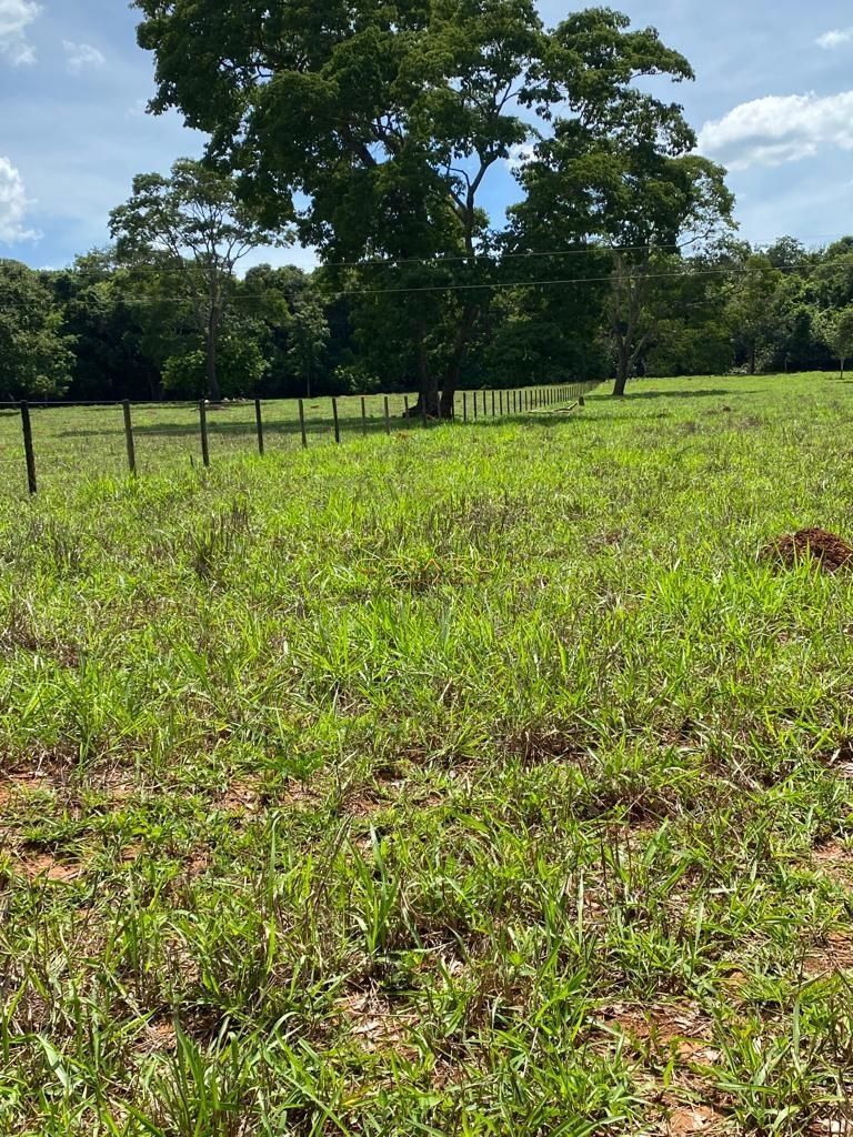 Fazenda/stio/chcara/haras  venda  no Zona Rural - Pirenpolis, GO. Imveis