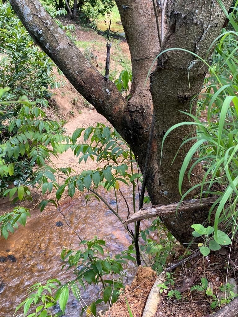 Chácara de 1 quarto, no bairro Zona Rural, em Pirenópolis | Eu Corretor