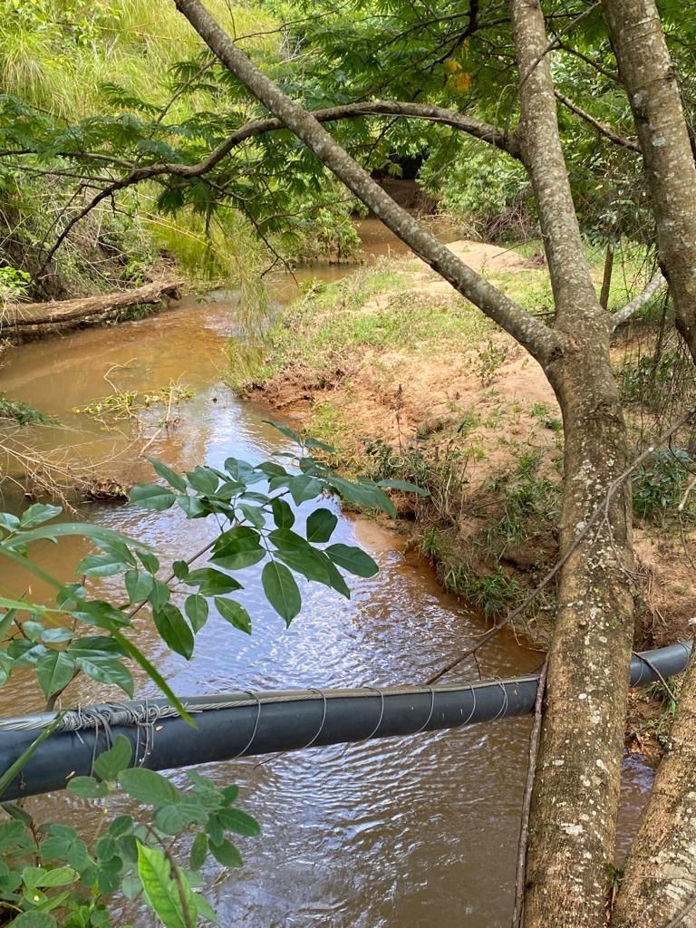 img36123628