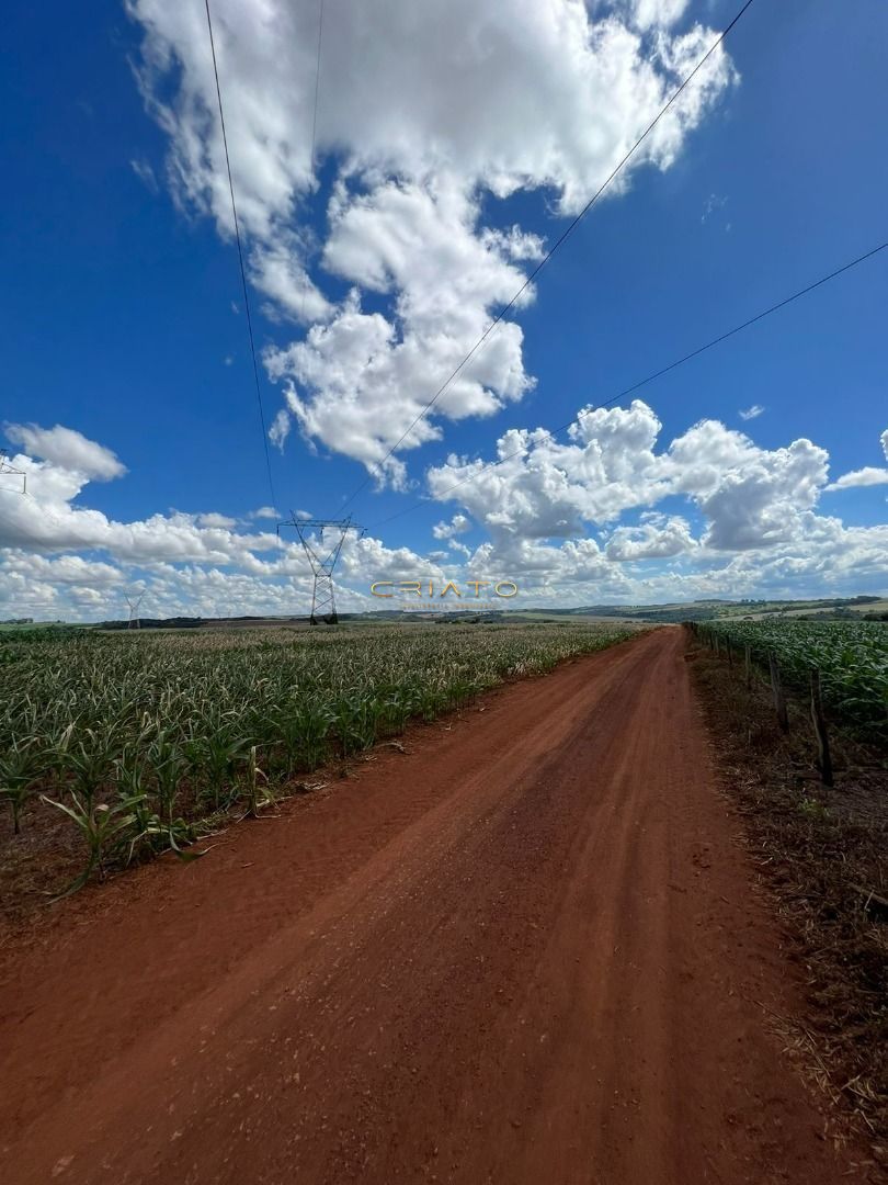 Fazenda/Sítios/Chácaras de no bairro Zona Rural, em Anápolis | Eu Corretor