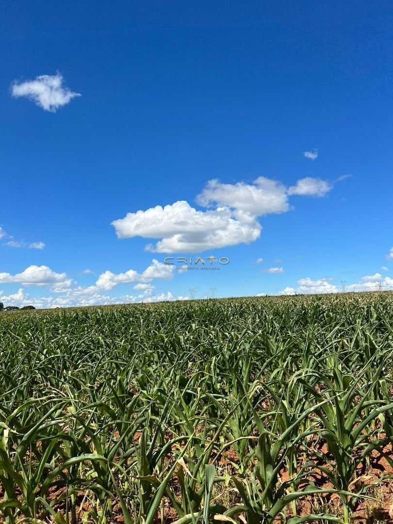 Fazenda/Sítios/Chácaras de no bairro Zona Rural, em Anápolis | Eu Corretor
