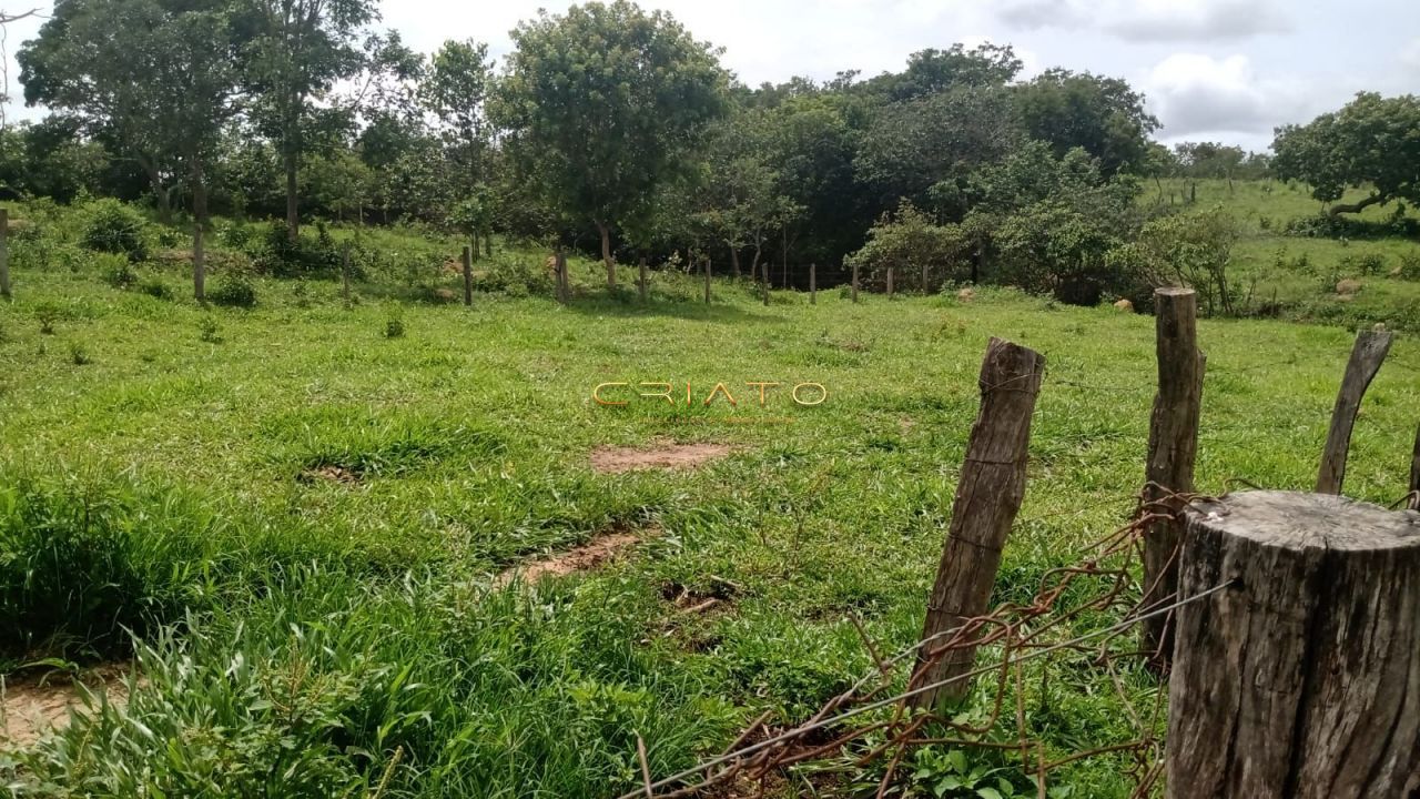 Fazenda à venda com 3 quartos, 1900000000m² - Foto 5