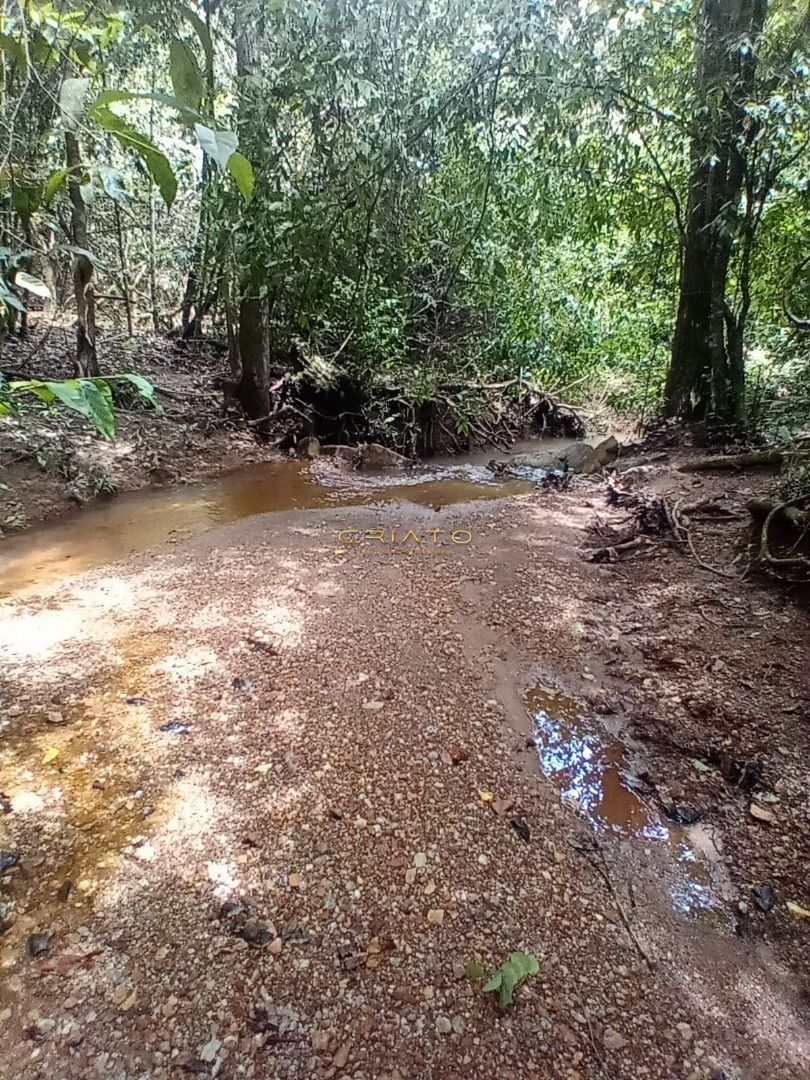 Fazenda à venda com 3 quartos, 1900000000m² - Foto 7