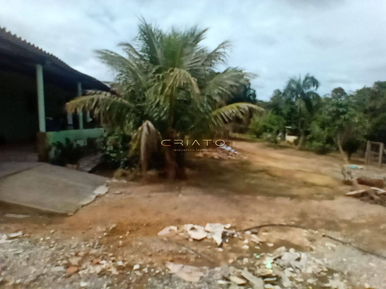 Fazenda à venda com 3 quartos, 1900000000m² - Foto 9