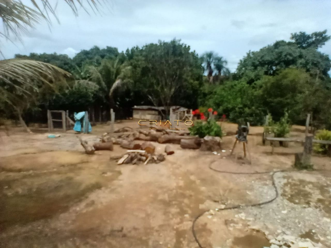 Fazenda à venda com 3 quartos, 1900000000m² - Foto 8