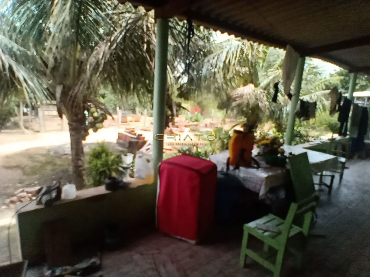 img36144069