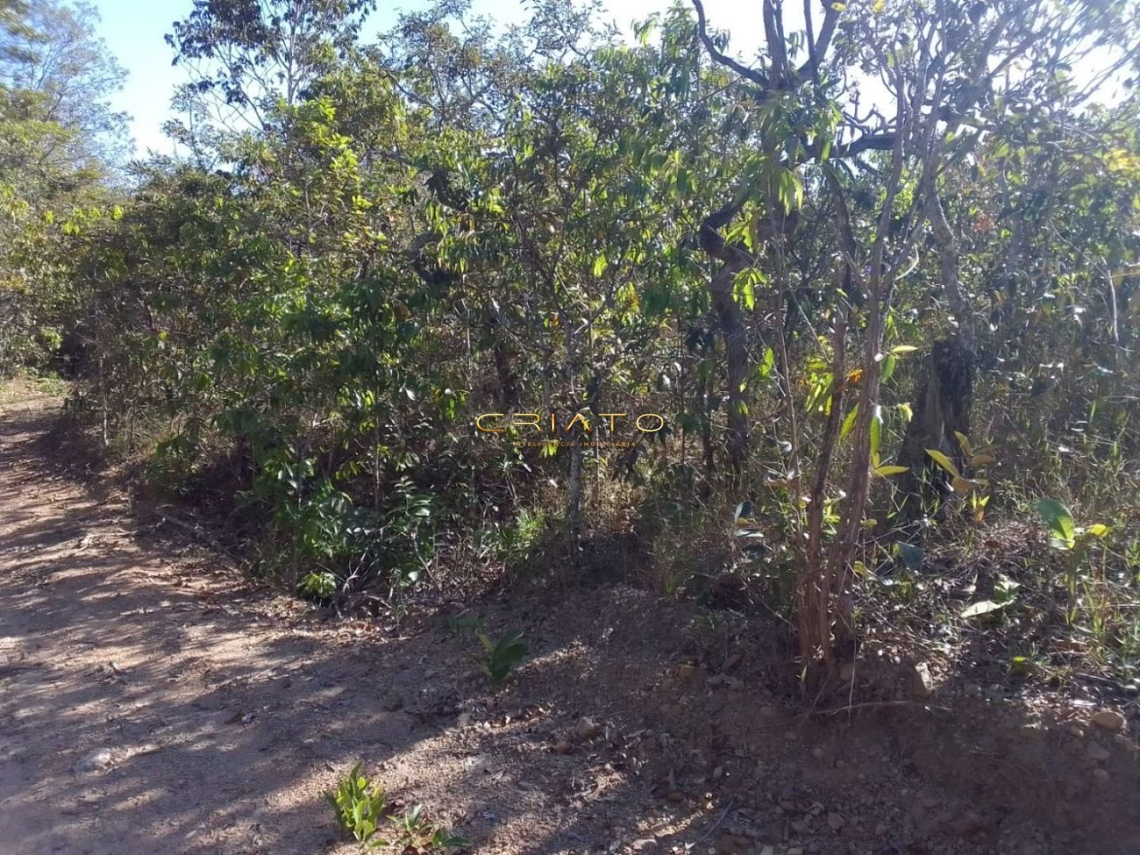 Fazenda/Sítios/Chácaras de no bairro Zona Rural, em Pirenópolis | Eu Corretor