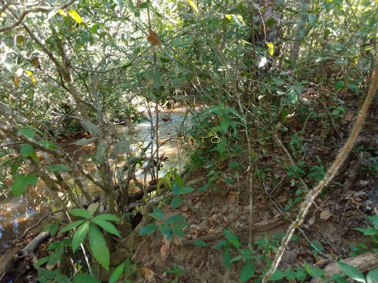 Fazenda/Sítios/Chácaras de no bairro Zona Rural, em Pirenópolis | Eu Corretor