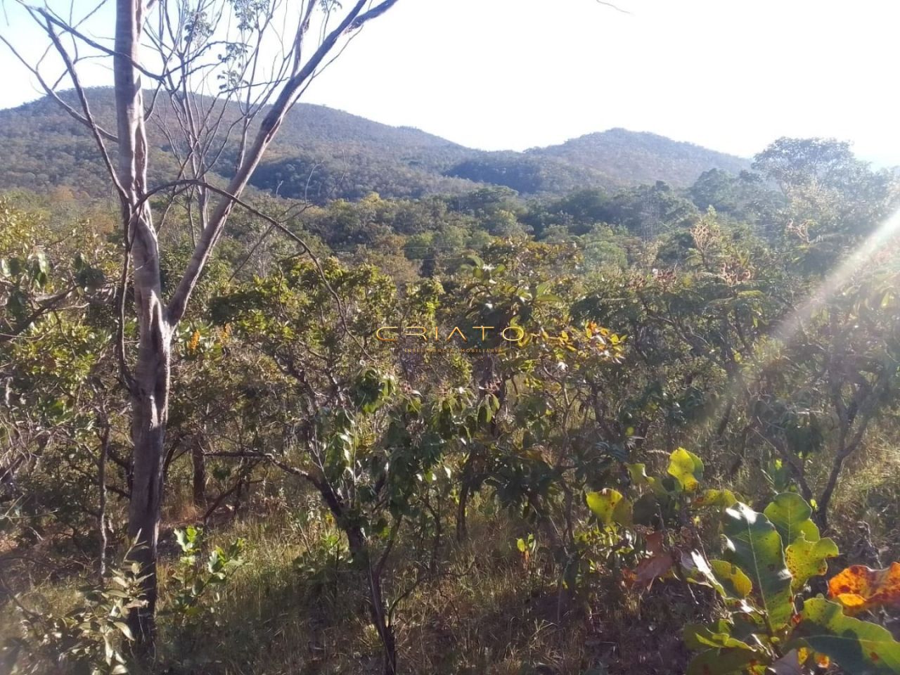 Fazenda/Sítios/Chácaras de no bairro Zona Rural, em Pirenópolis | Eu Corretor