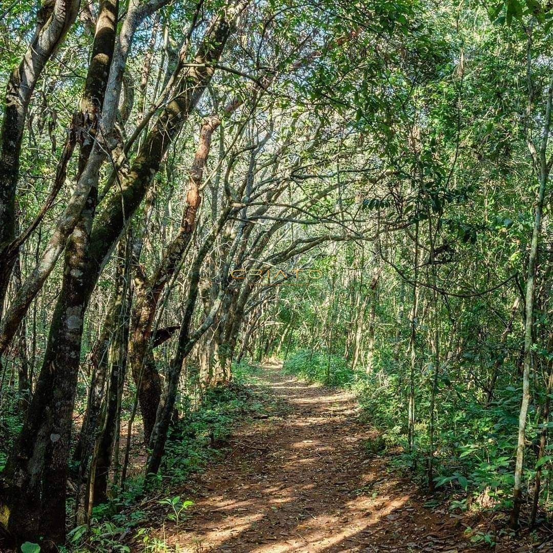 Terreno à venda, 5000m² - Foto 9