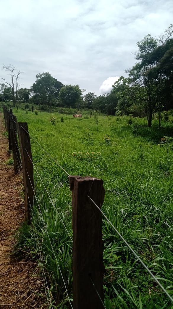 Chácara de 3 quartos, no bairro Zona Rural, em Cocalzinho de Goiás | Eu Corretor