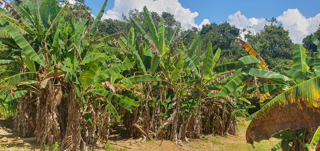 Chácara de 3 quartos, no bairro Zona Rural, em Cocalzinho de Goiás | Eu Corretor
