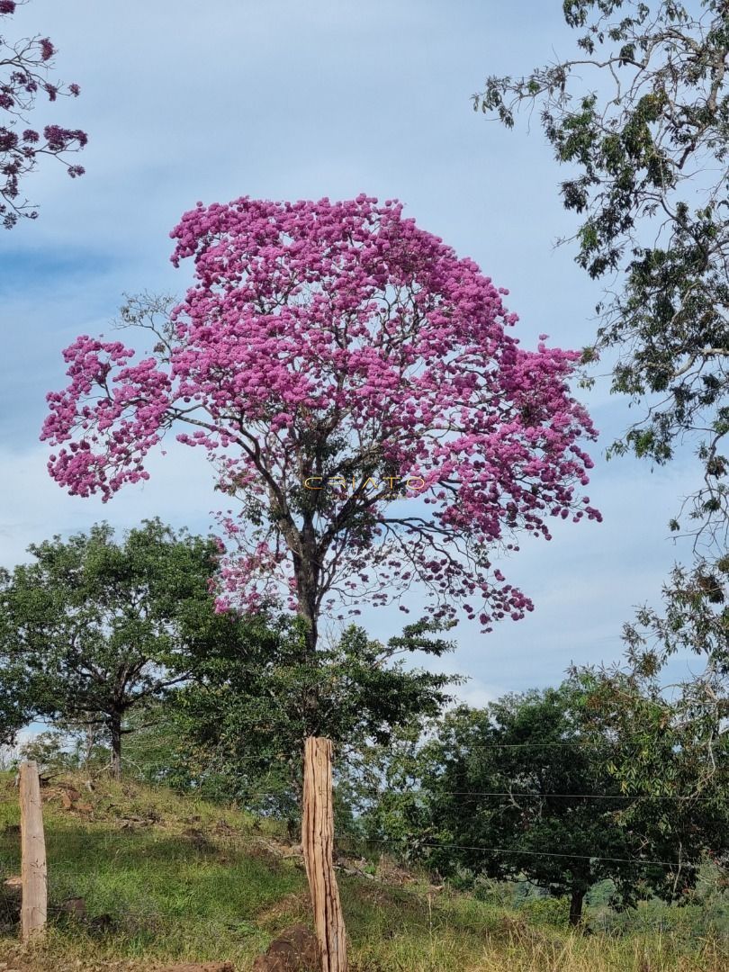 Fazenda à venda, 1476200m² - Foto 8