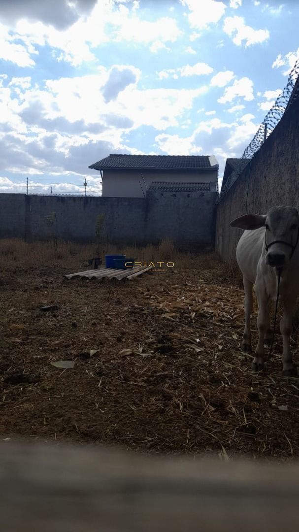 Lote/Terreno de 200m² no bairro Residencial Cidade Industrial, em Anápolis | Eu Corretor