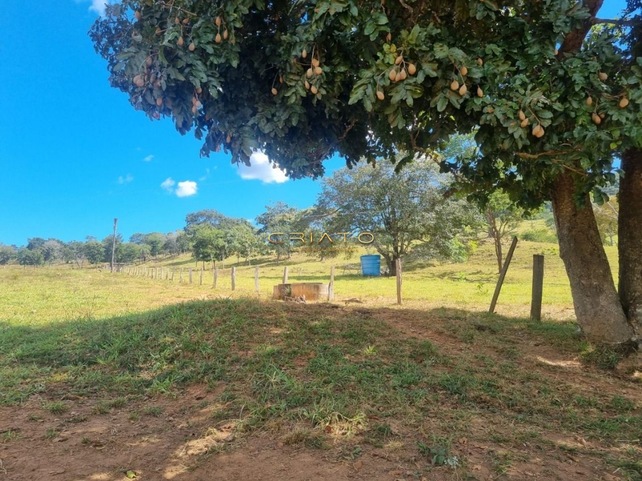 Fazenda à venda, 1476200m² - Foto 7