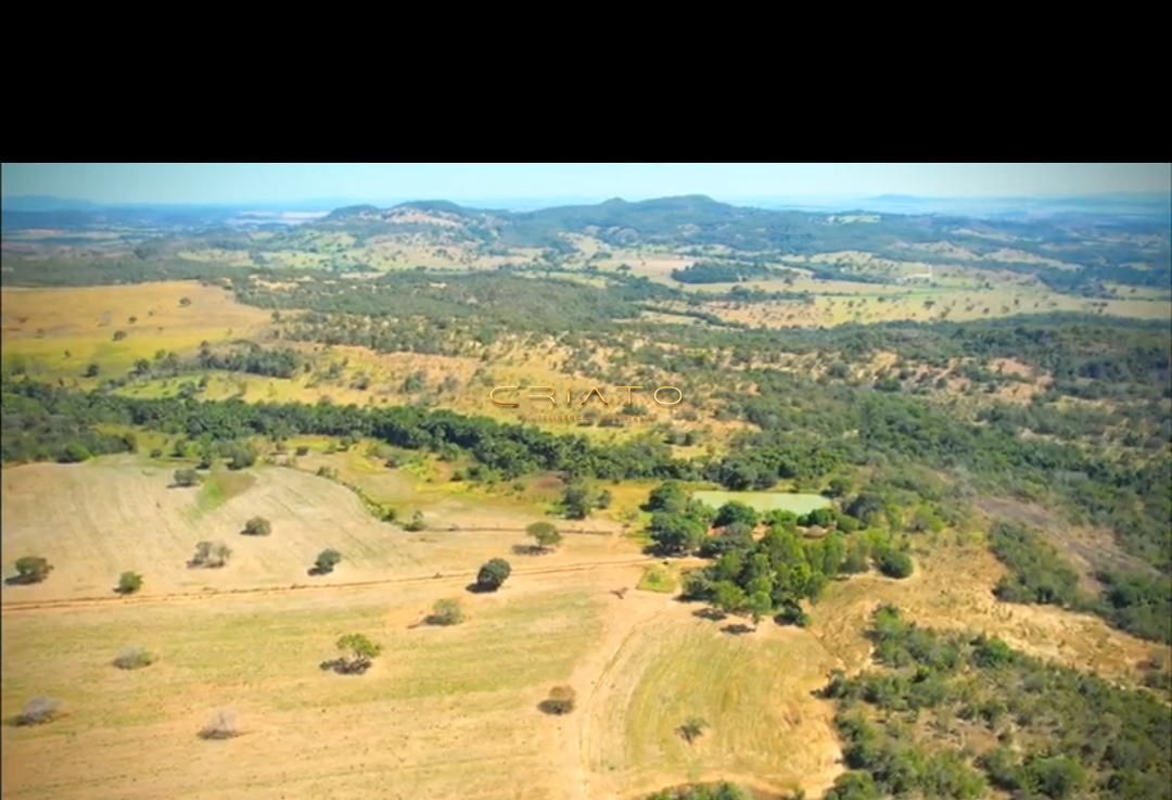 Fazenda à venda com 4 quartos, 2226400m² - Foto 7