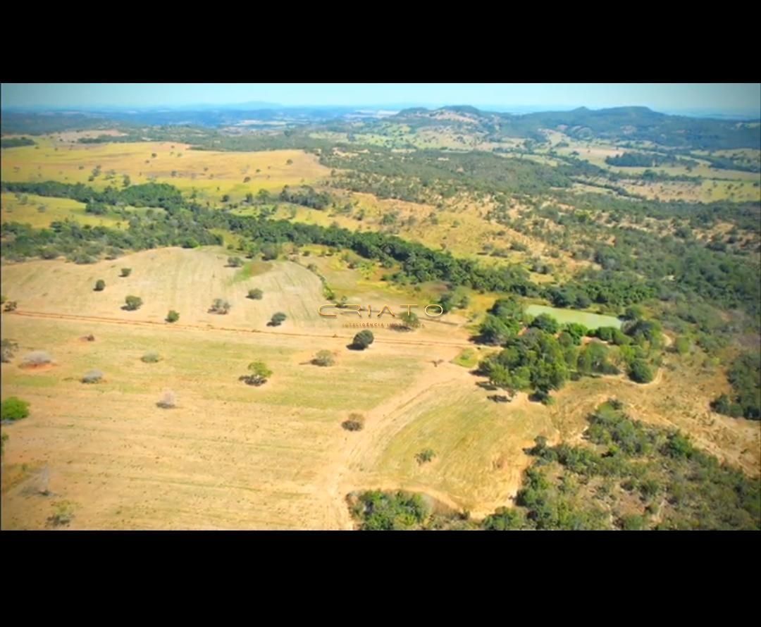 Fazenda à venda com 4 quartos, 2226400m² - Foto 8