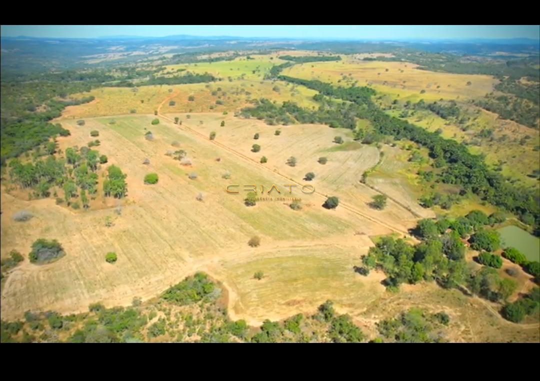 Fazenda à venda com 4 quartos, 2226400m² - Foto 10