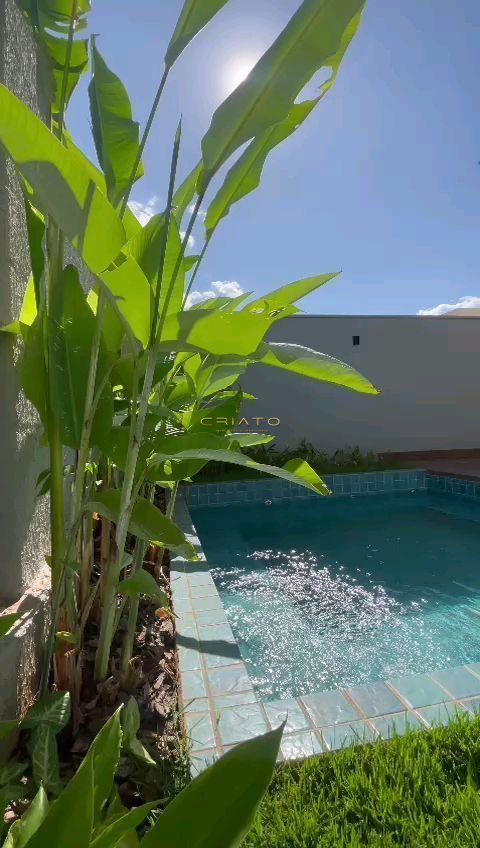 img36153631