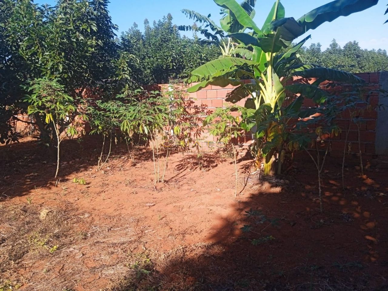 Chácara de no bairro Nenhum, em Campo Limpo de Goiás | Eu Corretor