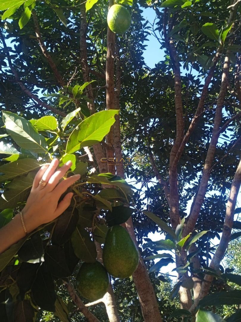 img36146466