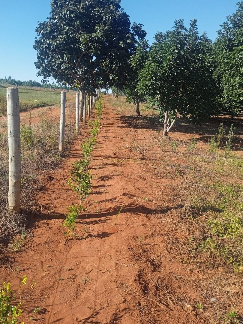 Fazenda à venda, 4000m² - Foto 10