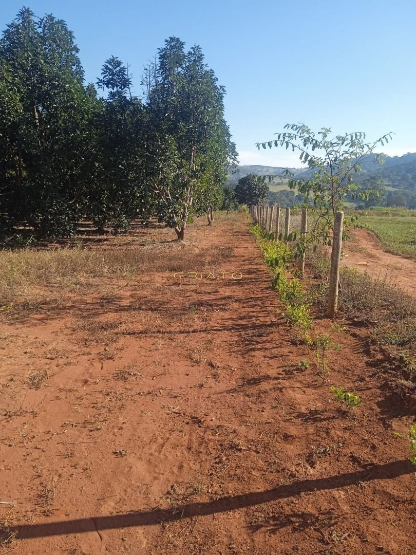 Fazenda à venda, 4000m² - Foto 11