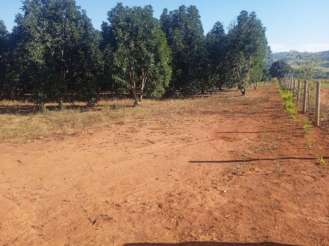 Chácara de no bairro Nenhum, em Campo Limpo de Goiás | Eu Corretor