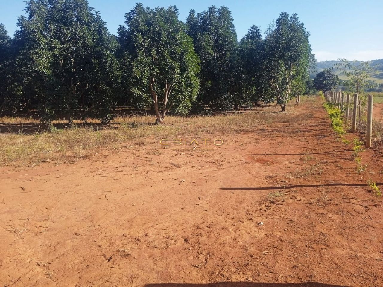 Fazenda à venda, 4000m² - Foto 2