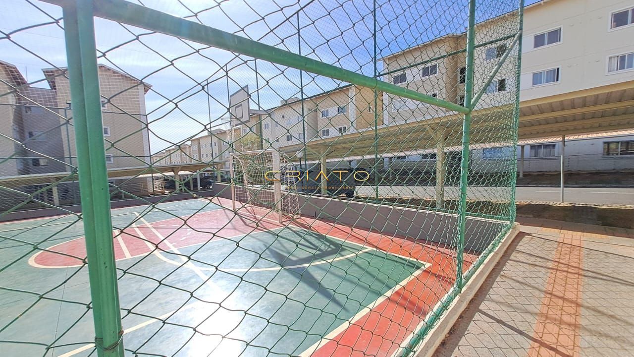 img36146607