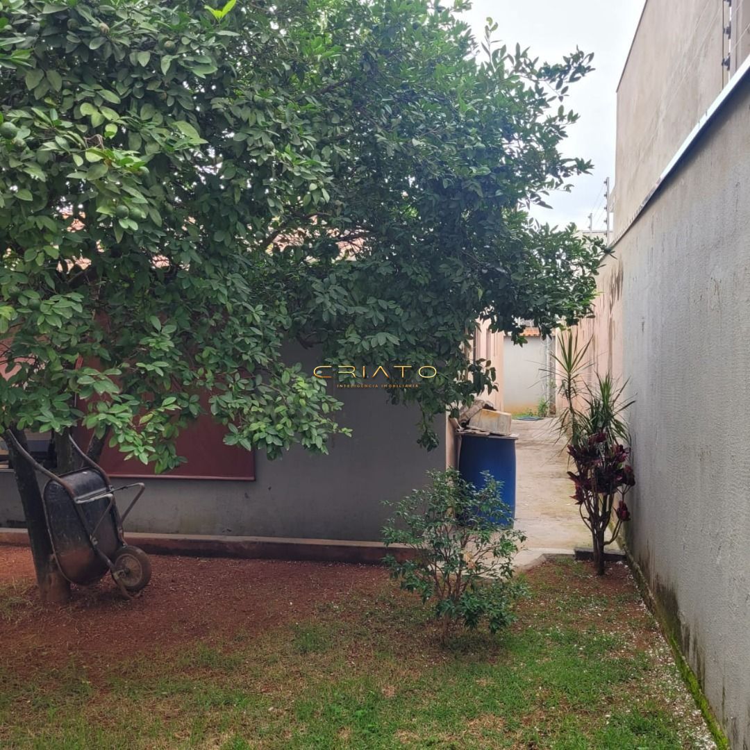 img36144851